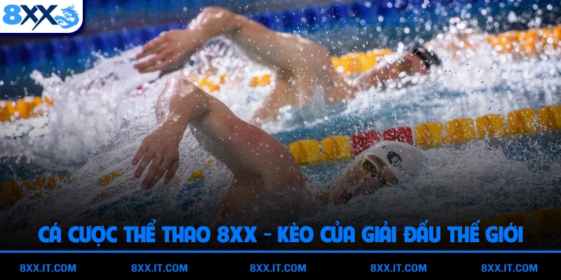 Cá Cược Thể Thao 8XX - Kèo Của Giải Đấu Thế Giới