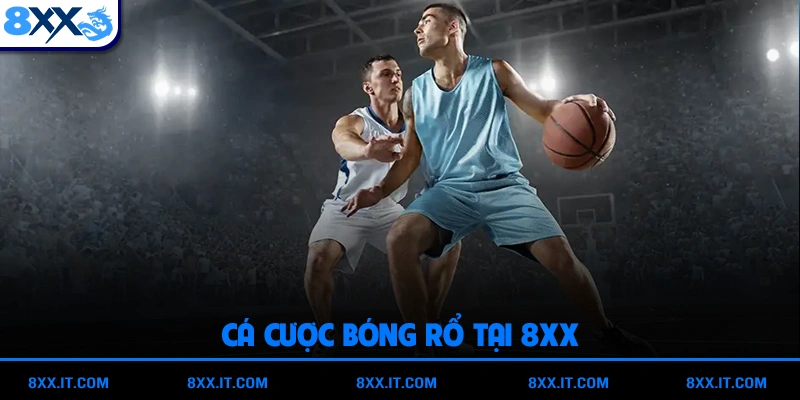 Cá cược bóng rổ tại 8XX